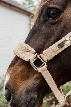 Kentucky Horsewear Headcollar Teddy Fleece -Equestrian Supplies Shop kentucky horsewear halfter teddyfleece beige lifestyle 2 1280x1280
