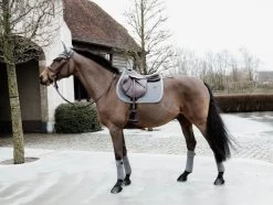 Kentucky Horsewear Jumping Saddle Pad Basic Velvet -Equestrian Supplies Shop kentucky horsewear springschabracke velvet basic grey 3 1280x1280