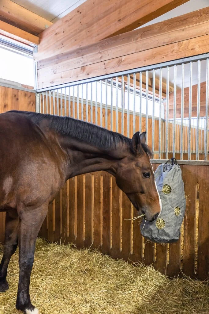 KERBL HayBag Canvas Hay Net 4 KERBL HayBag Canvas Hay Net - Image 2