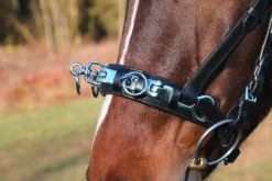 Covalliero Cavesson Leather Exclusive -Equestrian Supplies Shop kerbl kappzaum leder exklusiv 4ET1mqQpgYDwlk 1280x1280