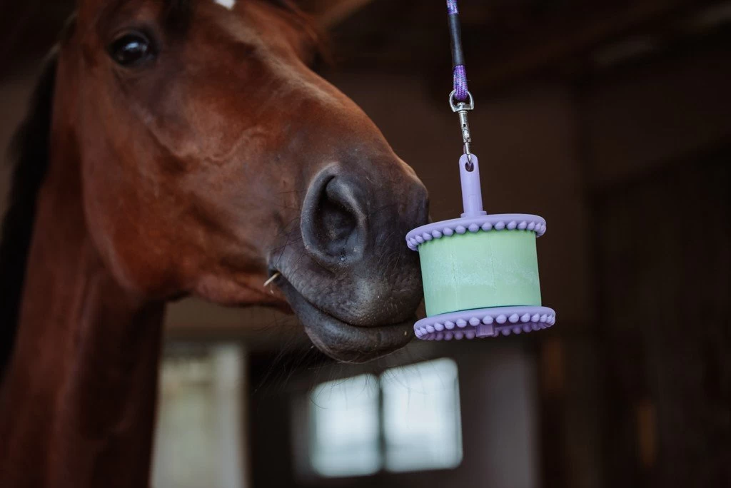 Likit Holder 5 Likit Holder - Image 3