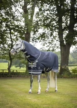 Arika Featherweight Turnout Rug, 0 G 14 Arika Featherweight Turnout Rug, 0 G -Equestrian Supplies Shop lm featherweightto lr processed 1280x1280