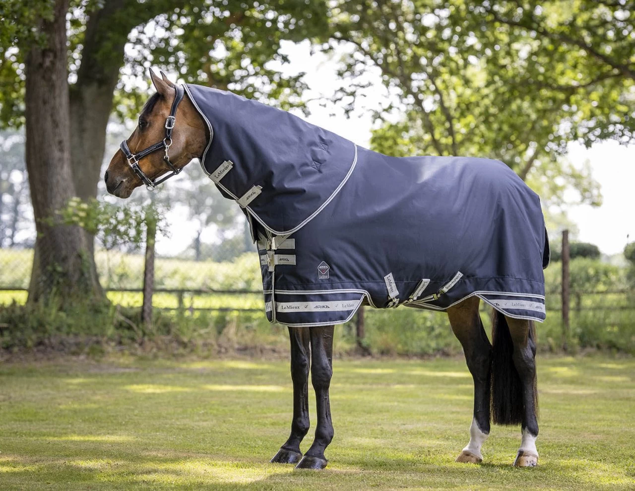 Arika Featherweight Turnout Rug, 0 G 6 Arika Featherweight Turnout Rug, 0 G - Image 4