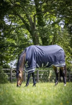 Arika Featherweight Turnout Rug, 0 G 13 Arika Featherweight Turnout Rug, 0 G -Equestrian Supplies Shop lm featherweightturnout lr processed 1280x1280