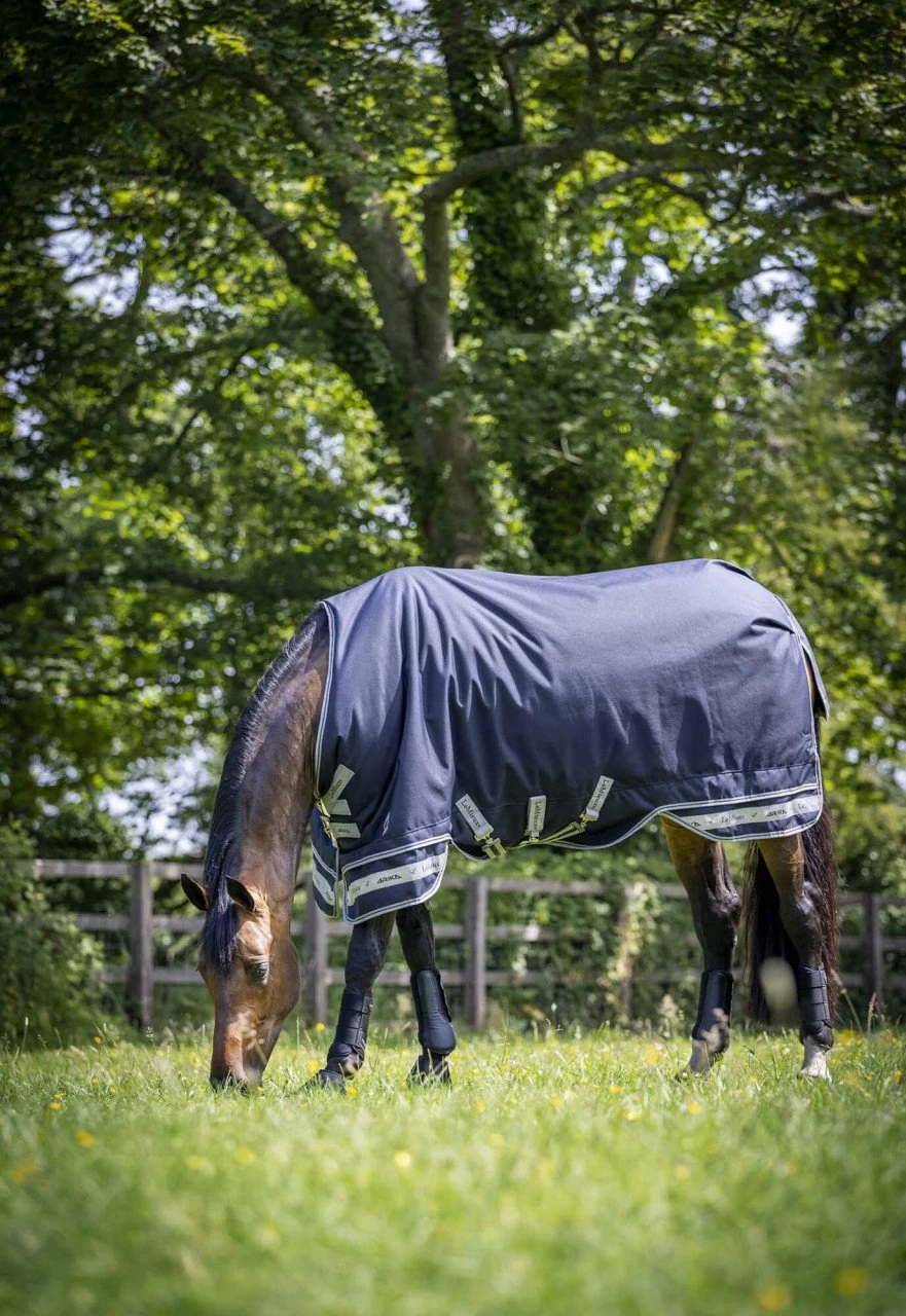 Arika Featherweight Turnout Rug, 0 G 7 Arika Featherweight Turnout Rug, 0 G - Image 5