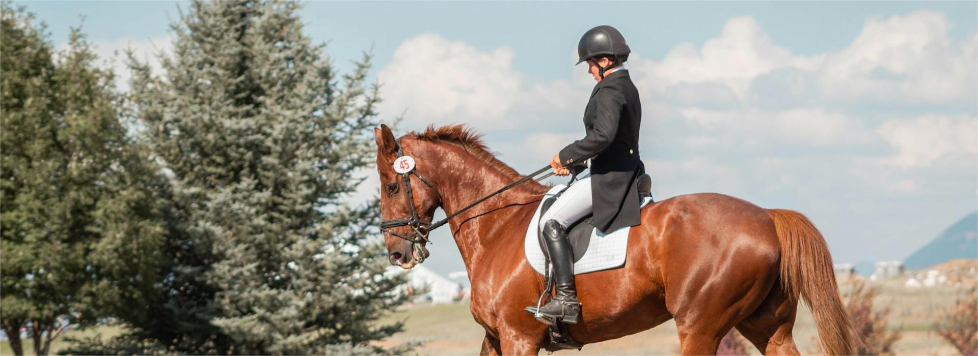 Equestrian Supplies Shop 1 Equestrian Supplies Shop -Equestrian Supplies Shop mikayla storms 9h bJdGqzCk unsplash