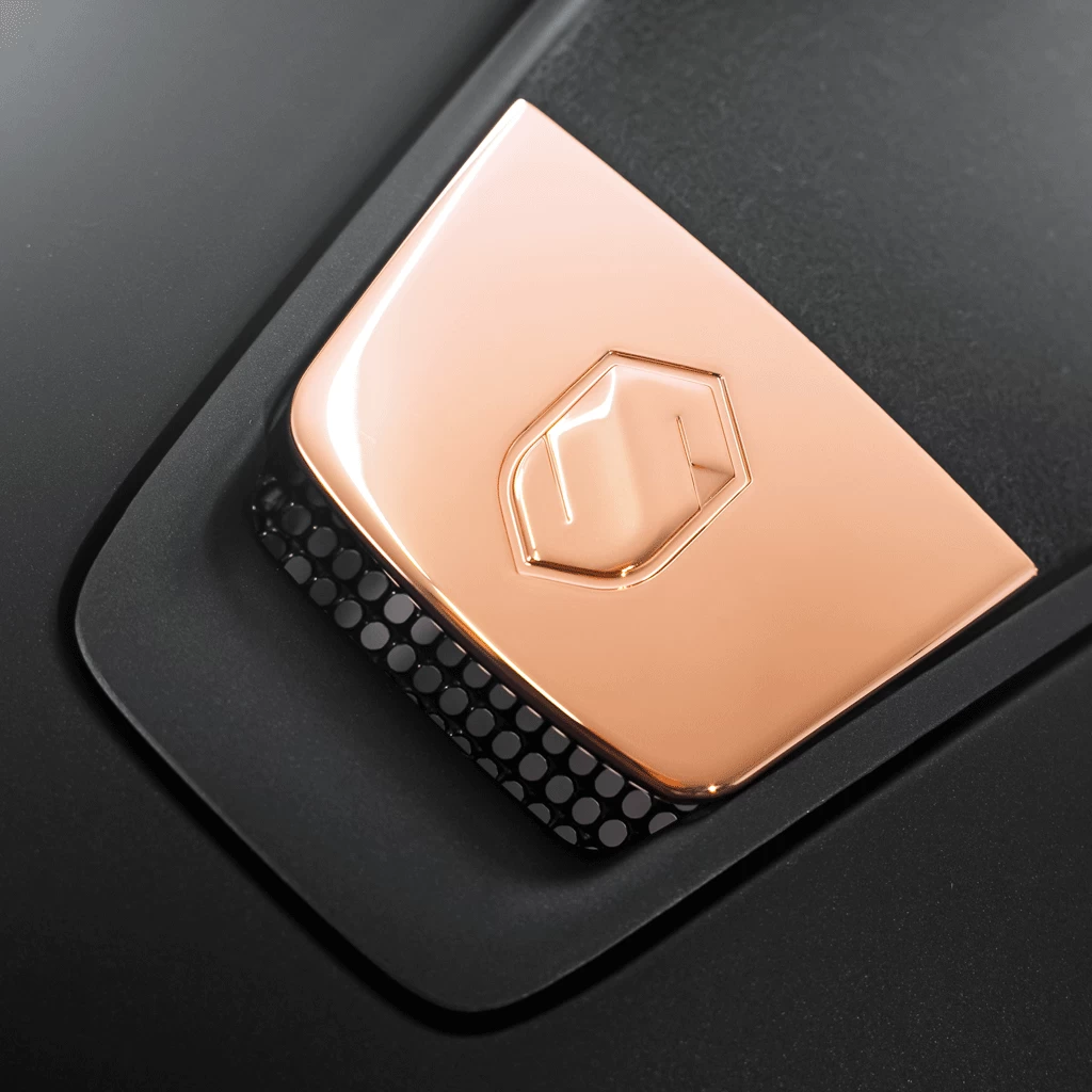 Riding Helmet Classic SM, Top Alct Mtl Rose Shield Swarovski, Trim Matt, Blazon Rose Gold - Image 5