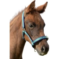 Halter Dublin, Nylon Halter, Foal Halter