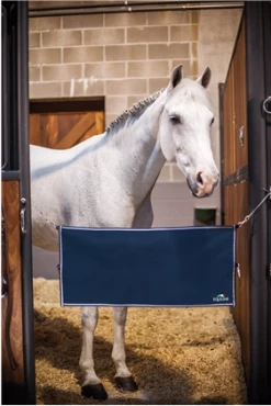 Stable Guard Pit Door Lock -Equestrian Supplies Shop tecno saddle pad bd7fa5b0 2306 4edf b671 1d83ca31f38d grande 1280x1280